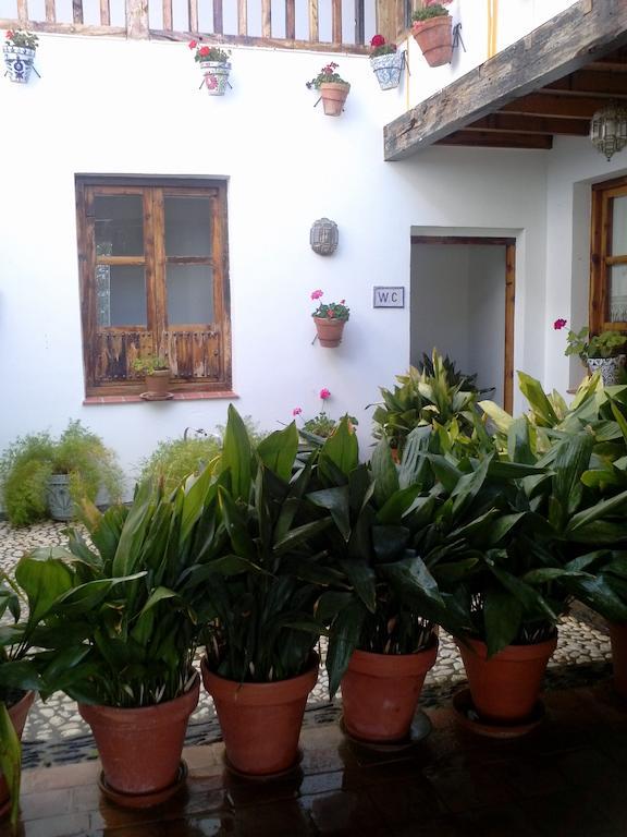 Apartamento Cuevas Pedro Antonio De Alarcon Guadix